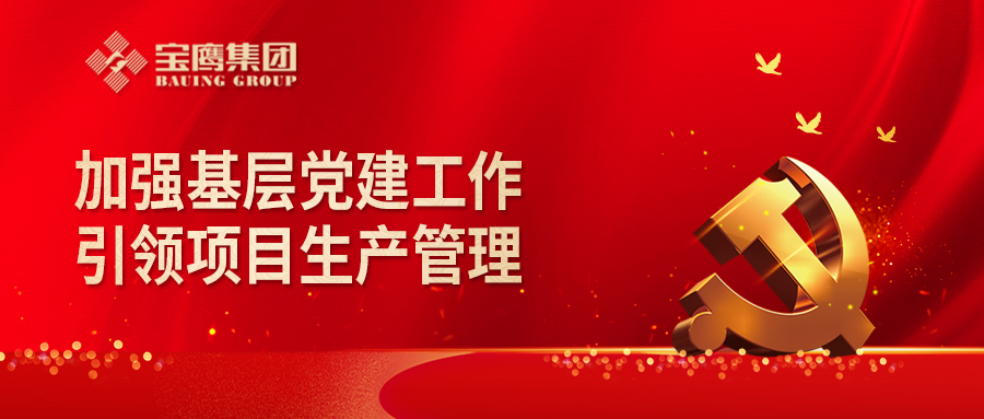 黨建引領(lǐng)項目生產(chǎn)管理 | 寶鷹建設(shè)集團(tuán)黨委成立項目臨時黨支部